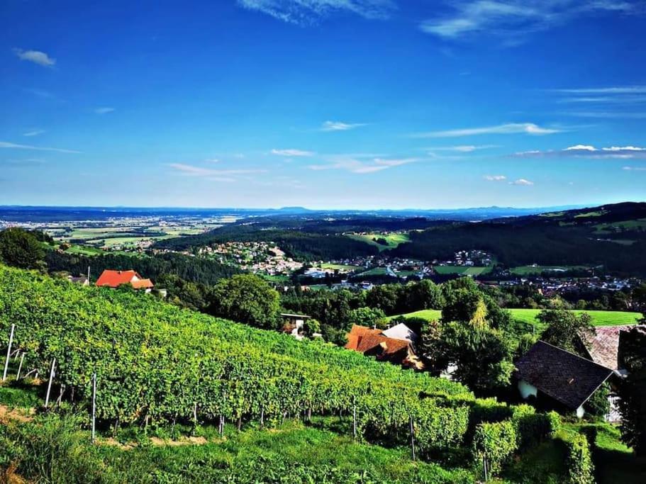 Wiednermichl - Urlaub In Den Weinbergen Krottendorf bei Ligist Luaran gambar